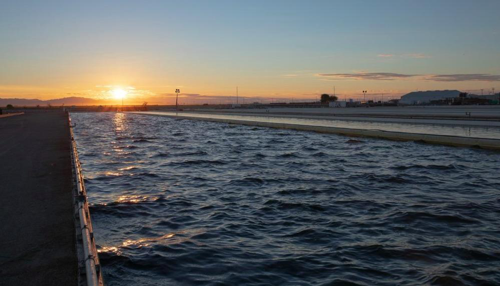 Du lever au coucher du soleil : 24 heures dans une ferme de production d’algues