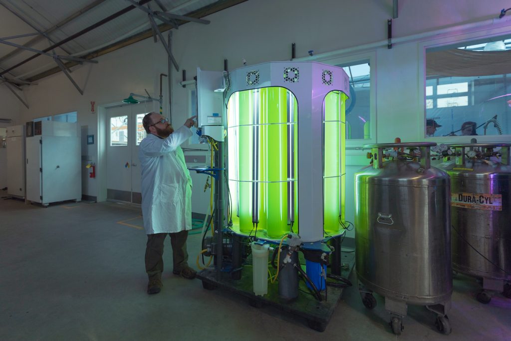 Algae farming An algae reactor
