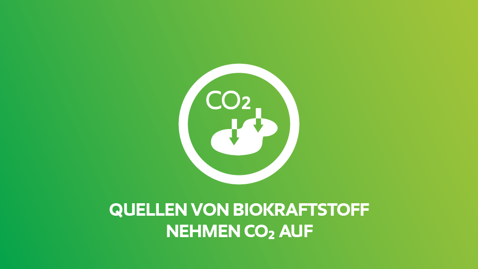 Fall des Biokraftstoffs: Quellen von Biokraftstoff verbrauchen CO2