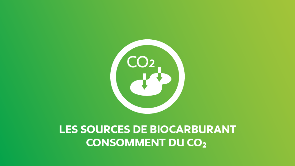 Le bien fondé des biocarburants : Les sources de biocarburant consomment du CO2