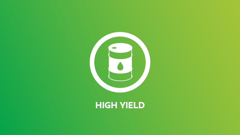 Case for biofuel: High yield